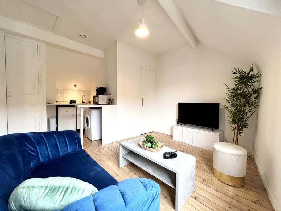 *le Cocon De Montigny* Apartment Montigny-sur-Loing